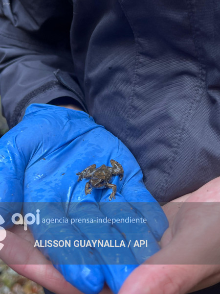 Proyecto LLURIMAGUA ABANDONADO VALLE INTAG