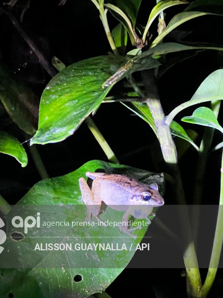 Proyecto LLURIMAGUA ABANDONADO VALLE INTAG