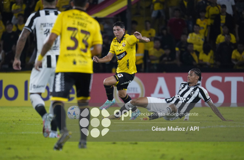 FBL-LIBERTADORES-BARCELONA-BOTAFOGO