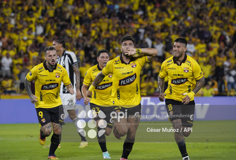 FBL-LIBERTADORES-BARCELONA-BOTAFOGO