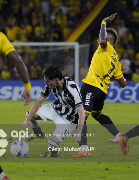 FBL-LIBERTADORES-BARCELONA-BOTAFOGO