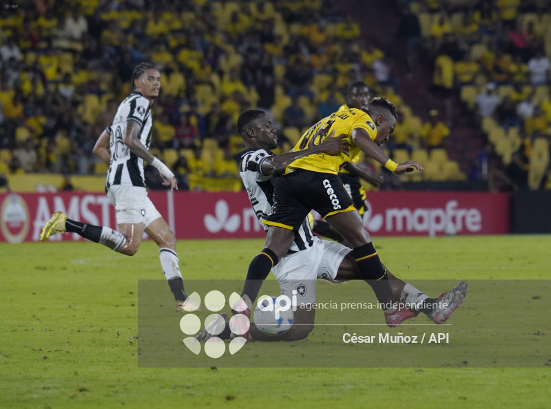 FBL-LIBERTADORES-BARCELONA-BOTAFOGO