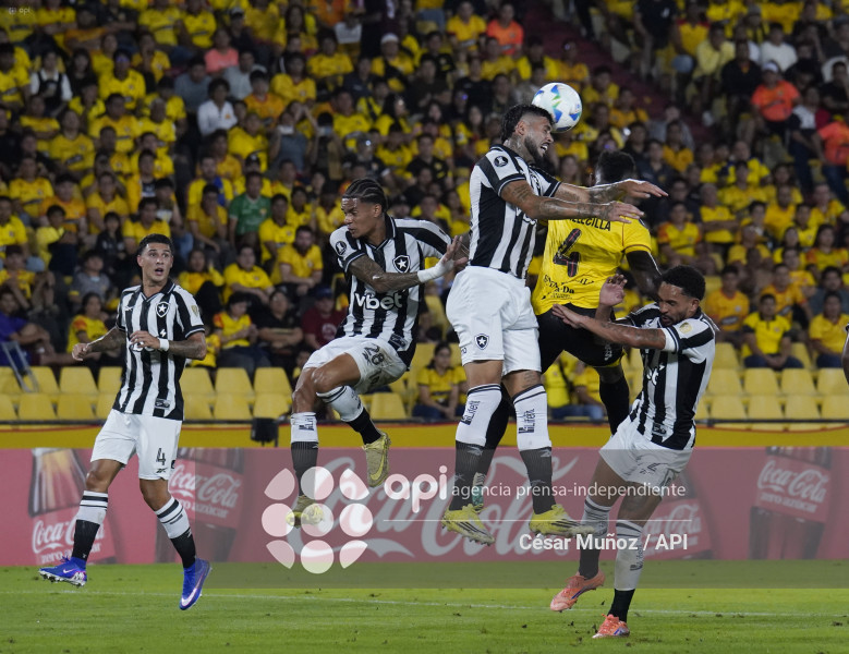 FBL-LIBERTADORES-BARCELONA-BOTAFOGO