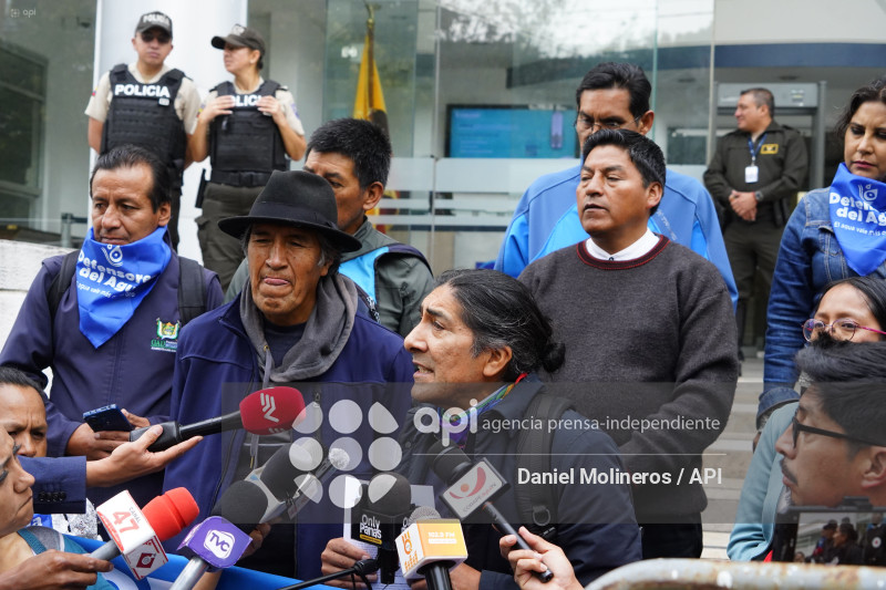 AGUA INCONSTITUCIONALIDAD LEY MINERA PEREZ GUARTAMBEL