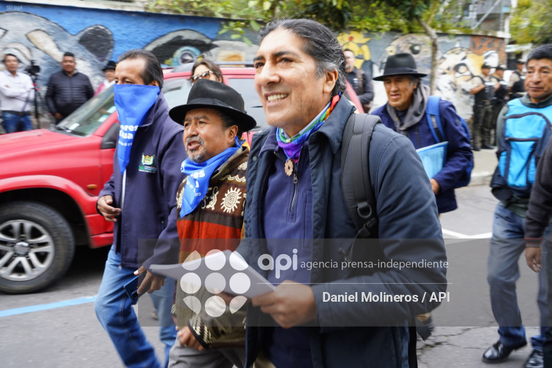 AGUA INCONSTITUCIONALIDAD LEY MINERA PEREZ GUARTAMBEL