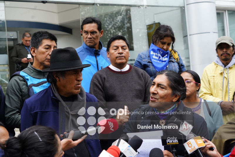 AGUA INCONSTITUCIONALIDAD LEY MINERA PEREZ GUARTAMBEL