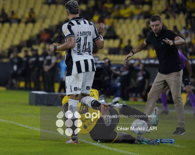 FBL-LIBERTADORES-BARCELONA-BOTAFOGO