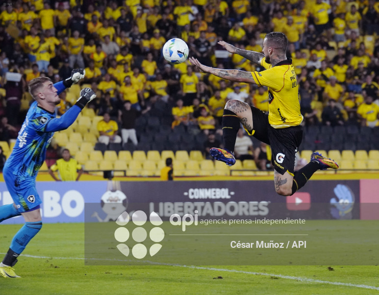 FBL-LIBERTADORES-BARCELONA-BOTAFOGO