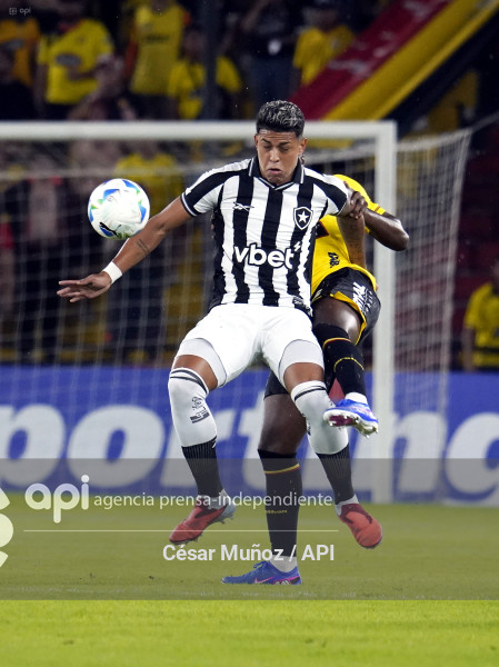 FBL-LIBERTADORES-BARCELONA-BOTAFOGO