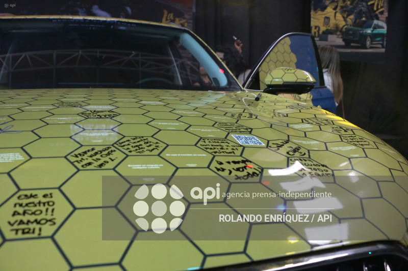 ALIANZA FEDERACION ECUATORIANA Y CHERY