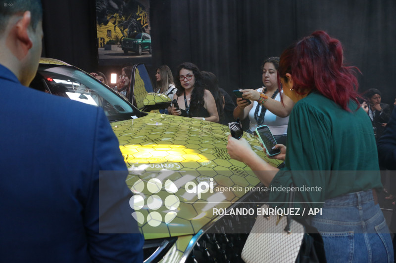 ALIANZA FEDERACION ECUATORIANA Y CHERY