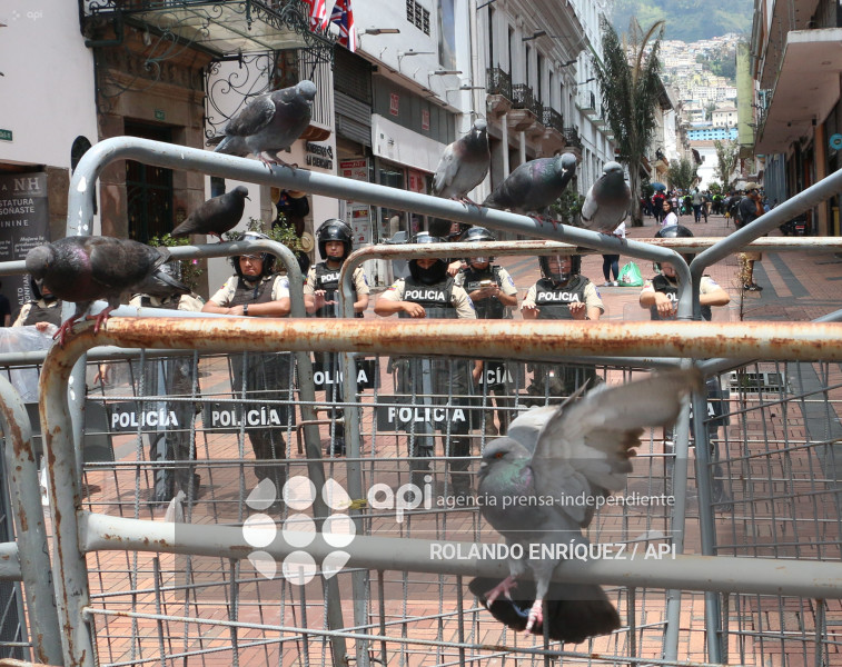 MARCHA 8M QUITO