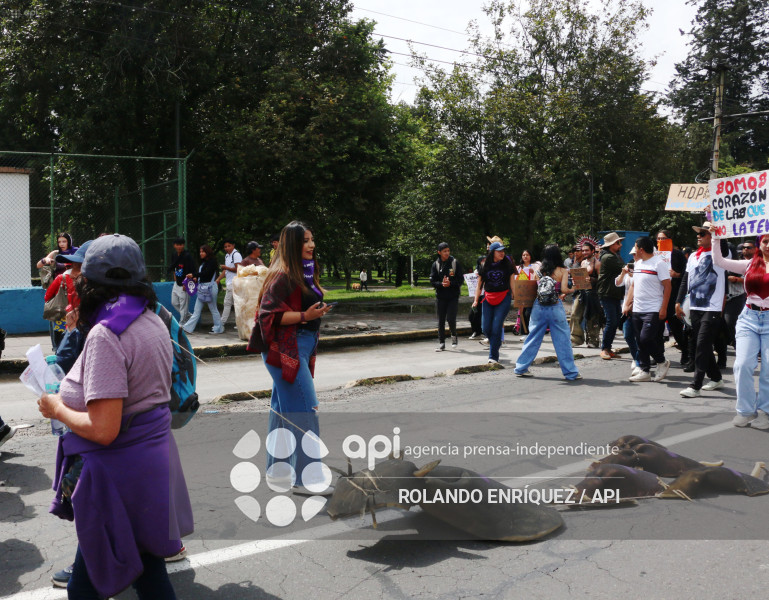 MARCHA 8M QUITO