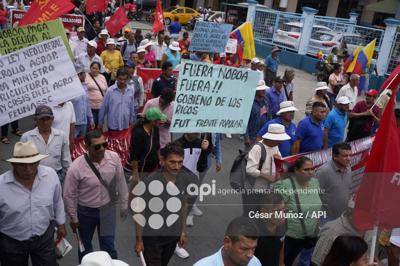 GYE-MARCHA CONTRA NOBOA