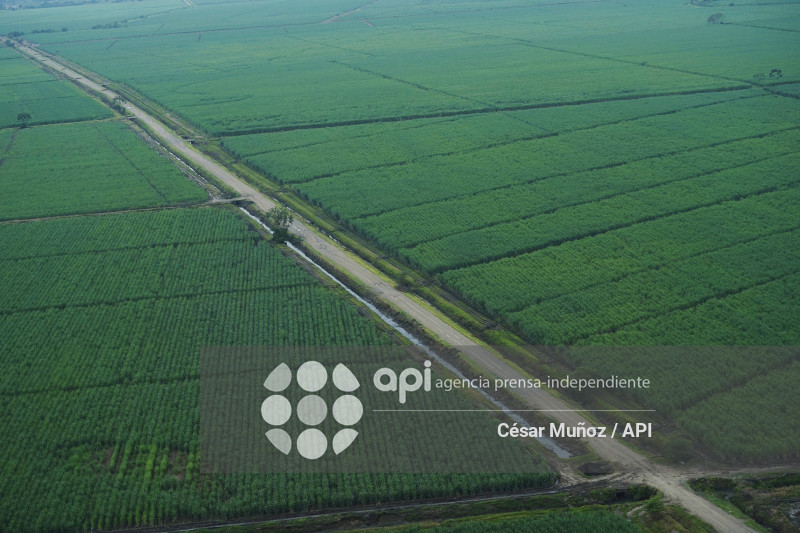 GYE-INHABILATACION PISTA