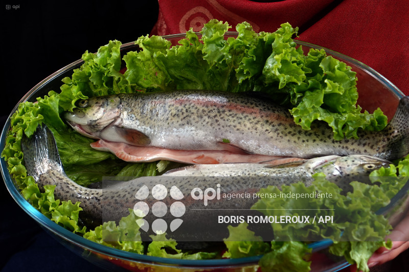 CUENCA-III BANQUETE DE LA TRUCHA