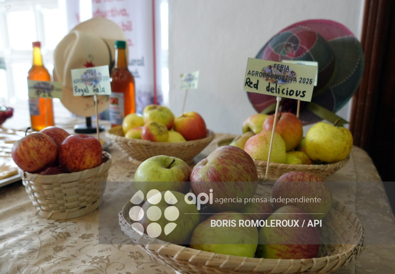 CUENCA-LANZAMIENTO AGENDA FESTIVA-CHORDELEG