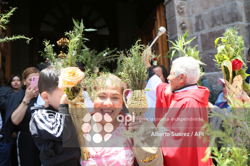 SAN FRANCISCO DOMINGO DE RAMOS