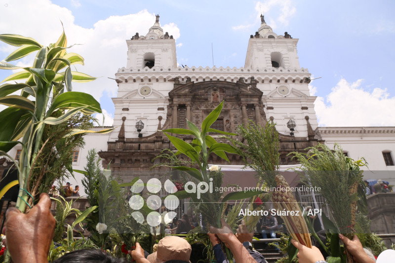 SAN FRANCISCO DOMINGO DE RAMOS