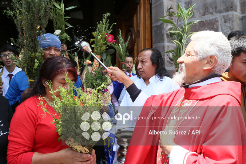 SAN FRANCISCO DOMINGO DE RAMOS