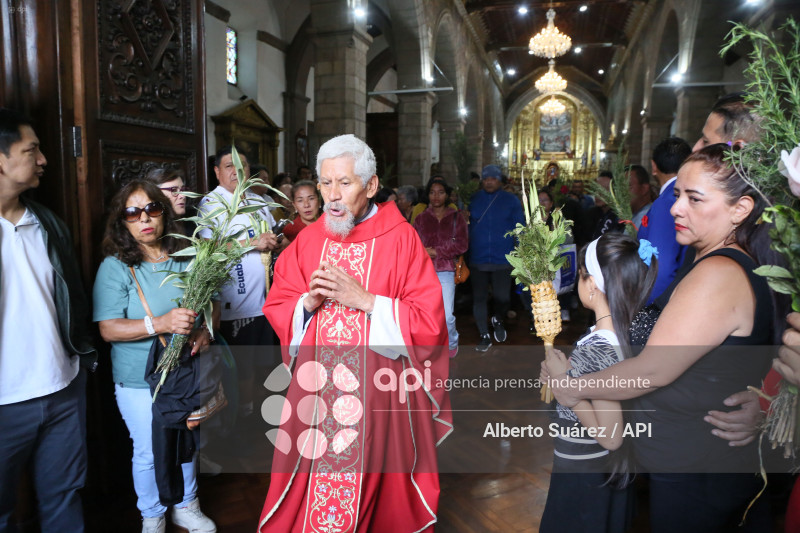 SAN FRANCISCO DOMINGO DE RAMOS
