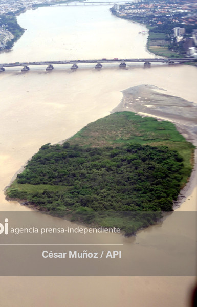GYE-ISLOTE EL PALMAR