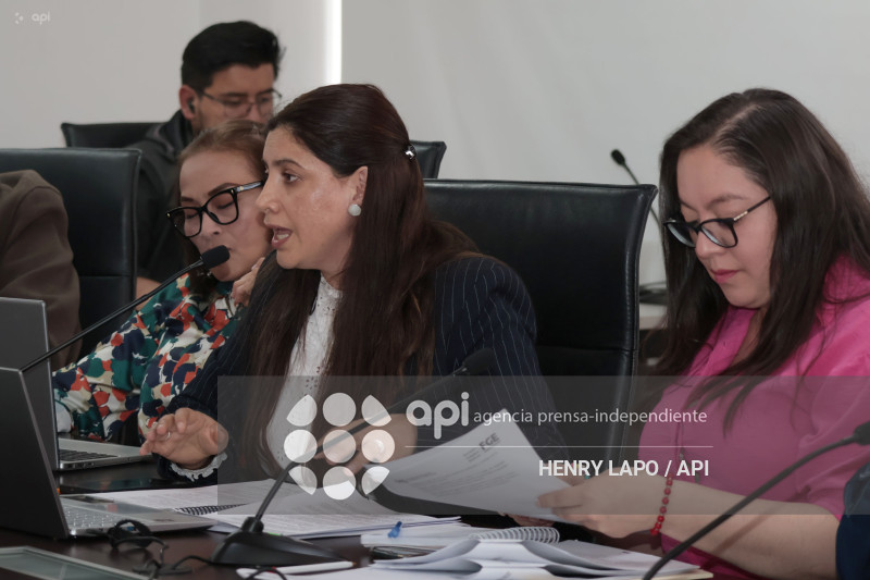 SESION COMISION PARA DESIGNAR FISCAL GENERAL