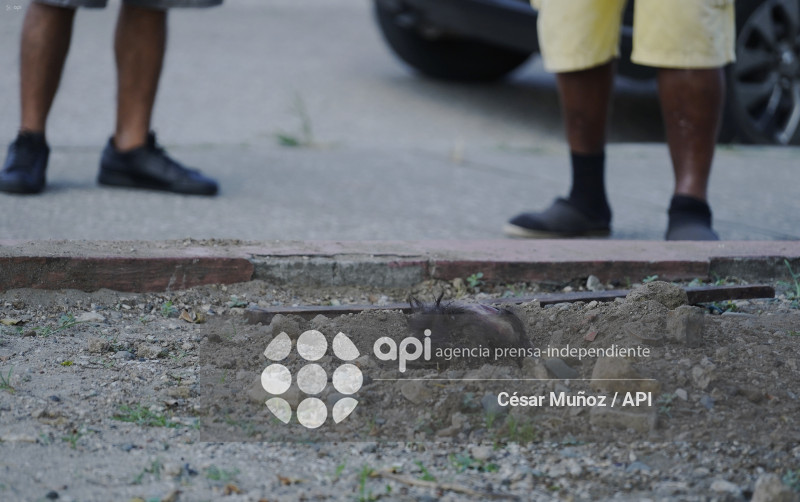 GYE-ALARMA CABEZA HUMANA