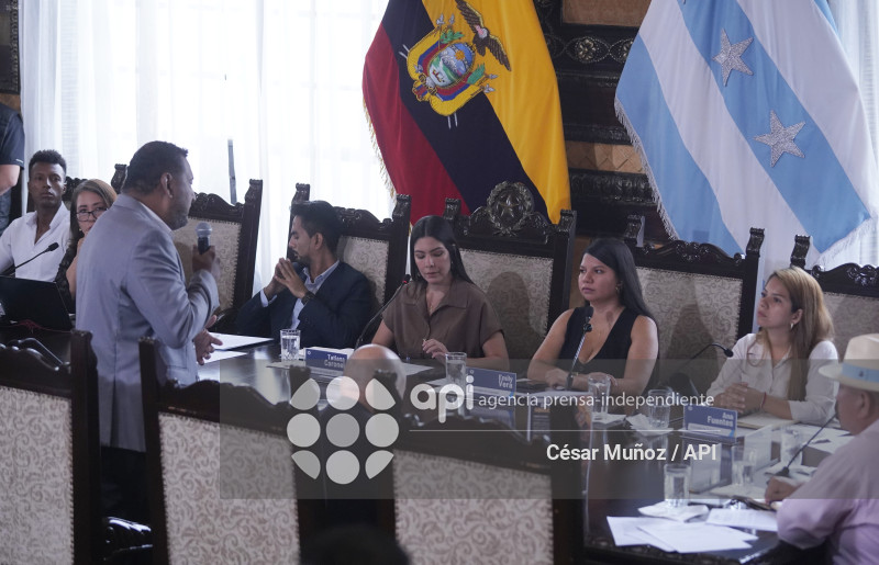 GYE-SESION CONCEJO 165
