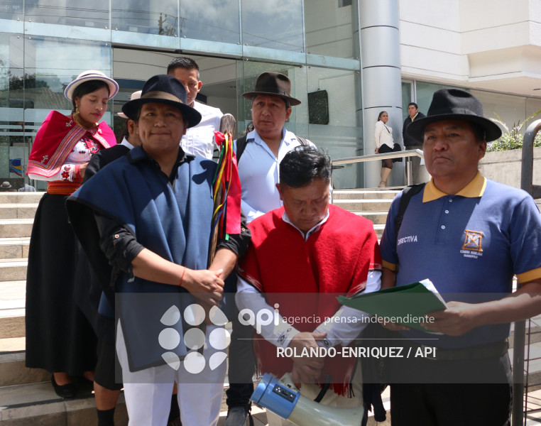 ACCION INCONSTITUCIONALIDAD FENOCIN CORTE CONSTITUCIONAL