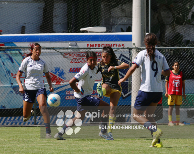 FBL SUPERLIGA FEMENINA NACIONAL VS CARNERAS
