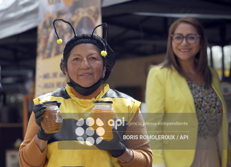 CUENCA-COLMENA FEST 2026
