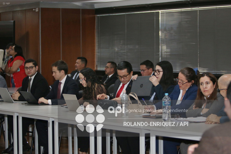 AUDIENCIA CASO APAGON PROGEN  DICTAMEN